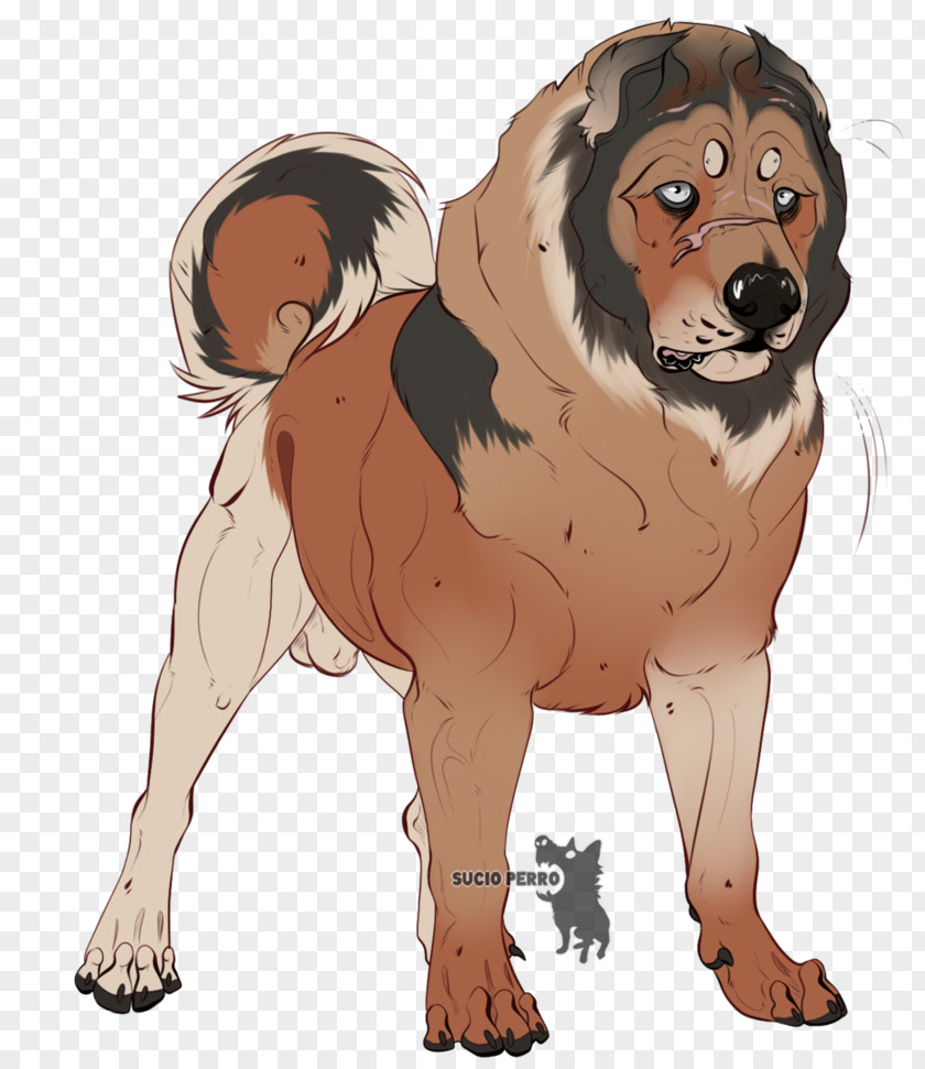 Bear Attack Dog Breed Lion Puppy Cat PNG