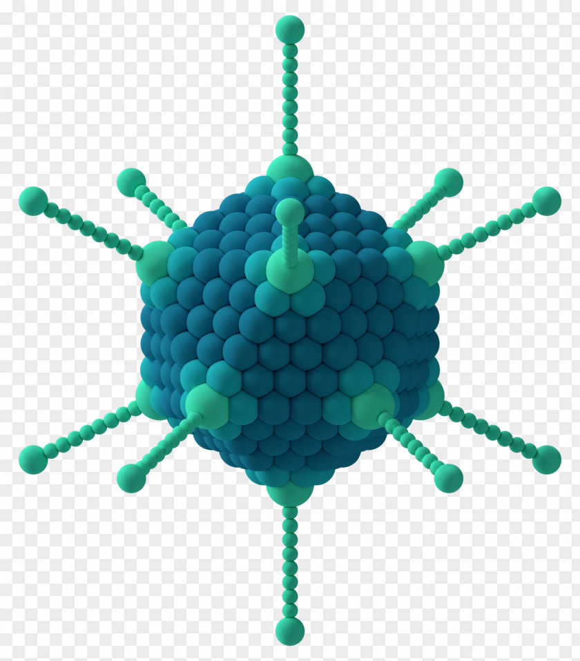 Flu Virus Capsid Icosahedron Adenoviridae Capsomere PNG