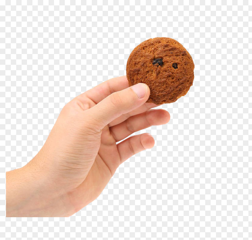 Hand Holding Cookies Cookie Stock Photography PNG