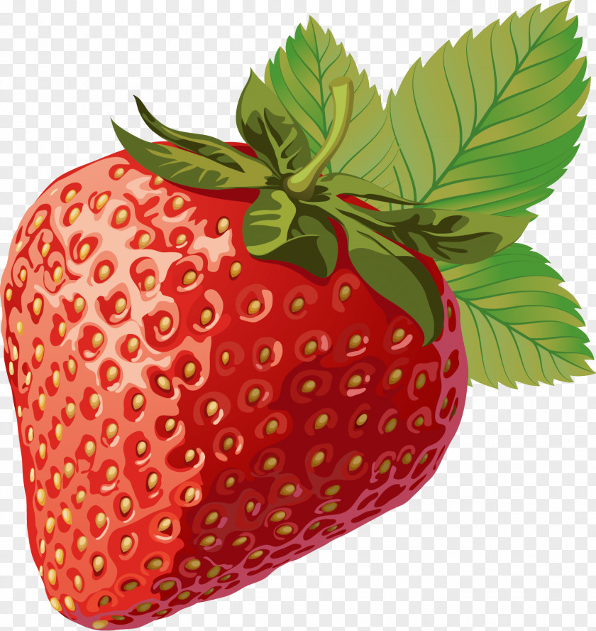Strawberry Material Picture Aedmaasikas PNG