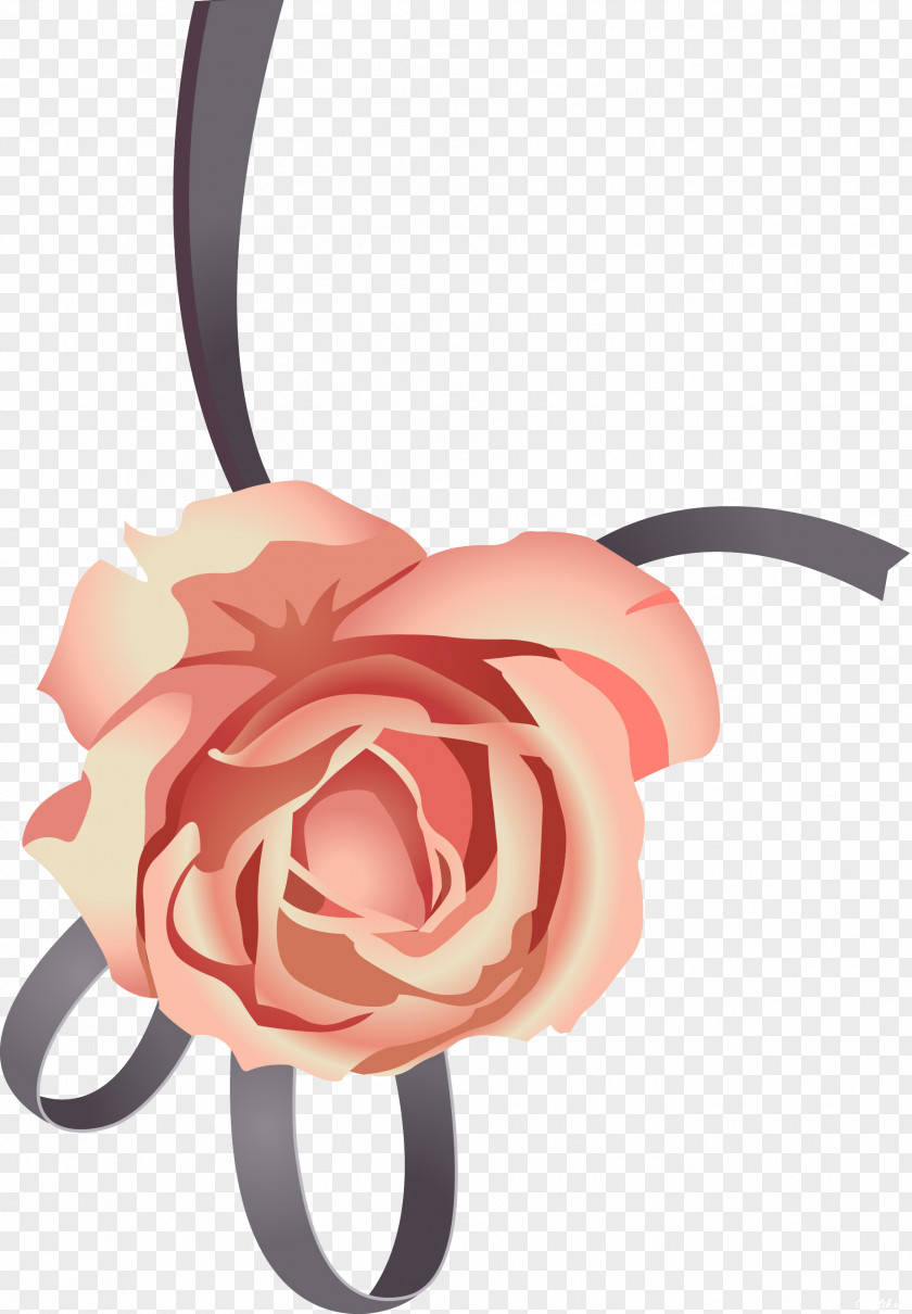 50 Garden Roses Rosaceae Clip Art PNG