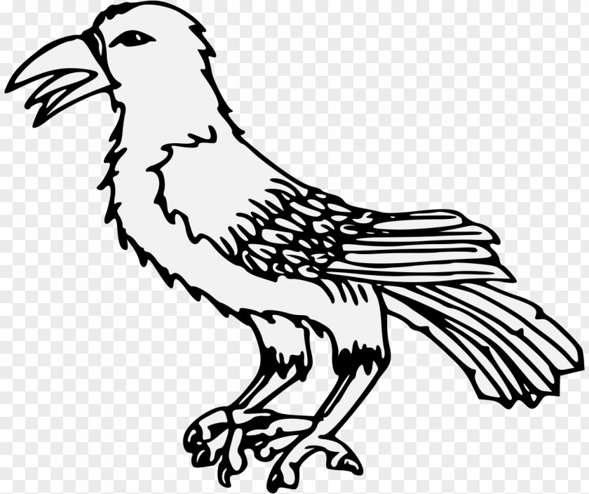 Chicken Clip Art Line Common Raven PNG