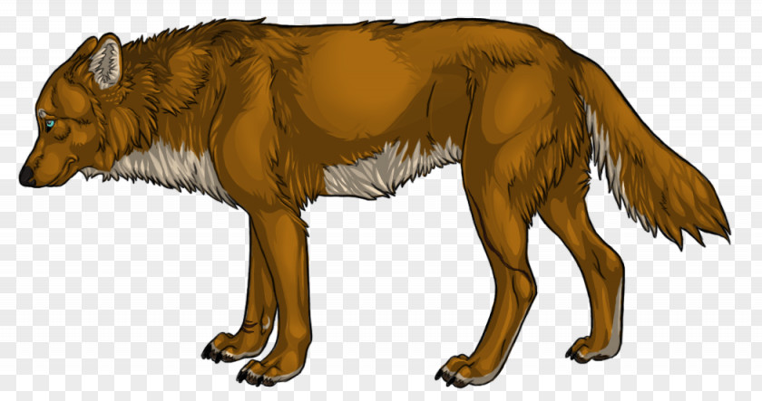 Dog Red Wolf Gray Furry Fandom PNG
