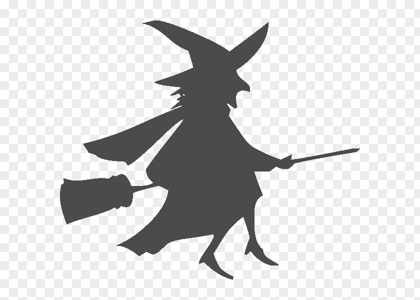 Halloween Witchcraft PNG