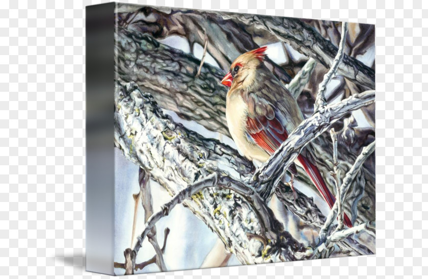 Kelly Eddington Watercolors Gallery Wrap Canvas Finches Tougher Than The Rest Art PNG