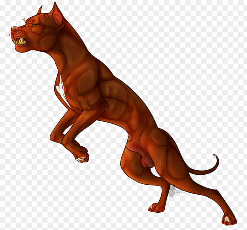 Loyal Dog Breed Pharaoh Hound Tail Animal PNG