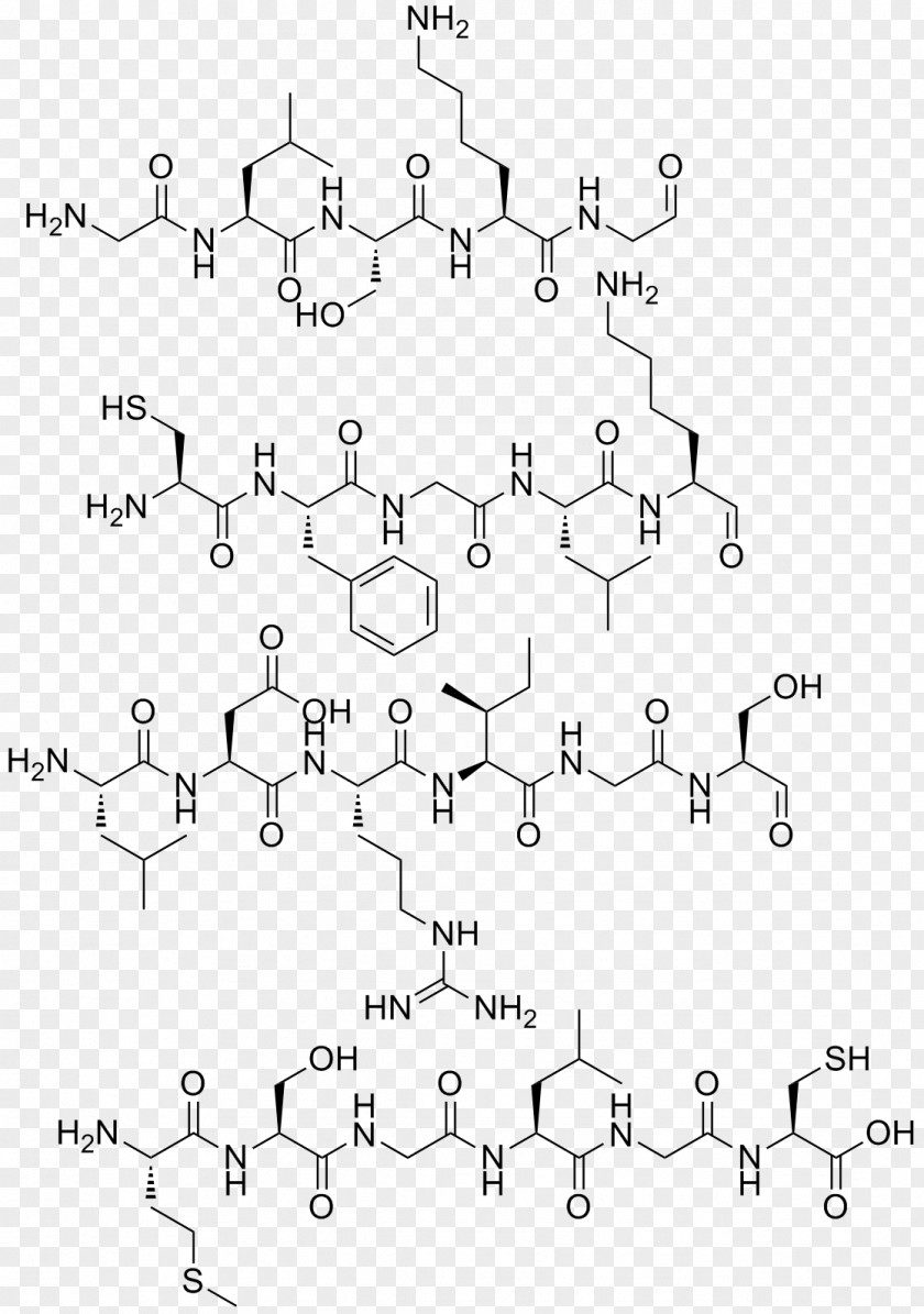 Peptide /m/02csf Car Rab Prenylation Drawing PNG