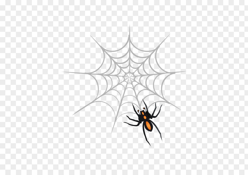 Vector Spider Web Design Clip Art PNG