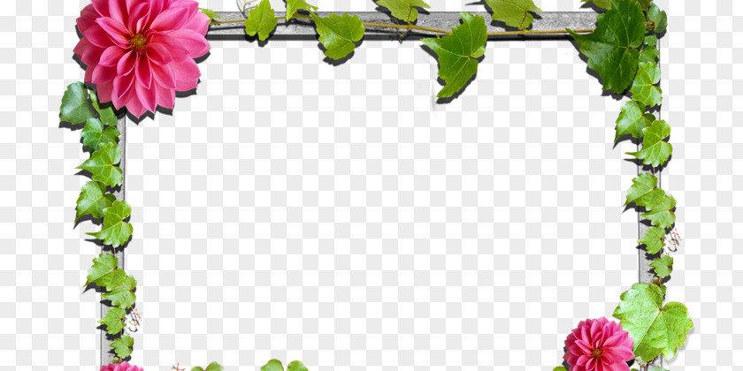 Yq Picture Frames Flower Floral Design Rose PNG
