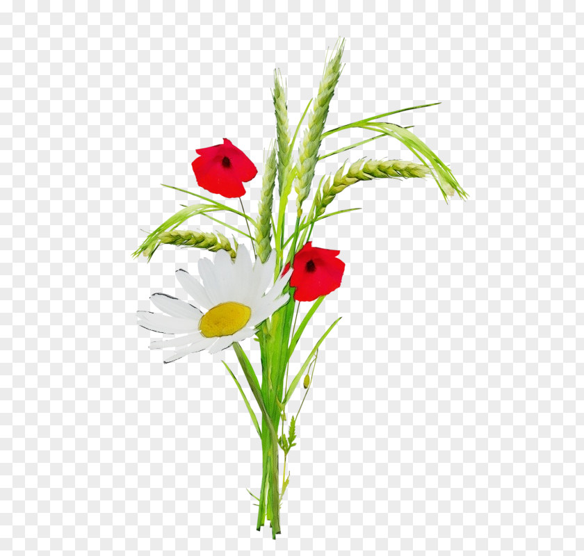 Floral Design PNG