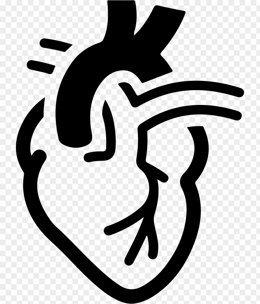 Heart Cardiology Health Care Hospital Medicine PNG
