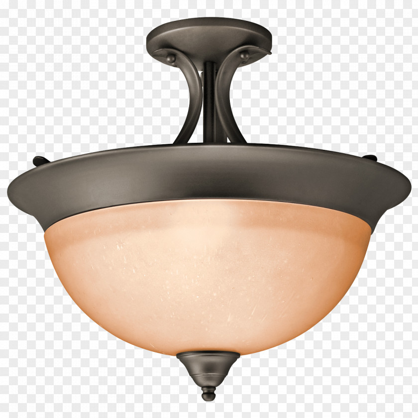 Light Fixture Brushed Metal Incandescent Bulb Lighting PNG
