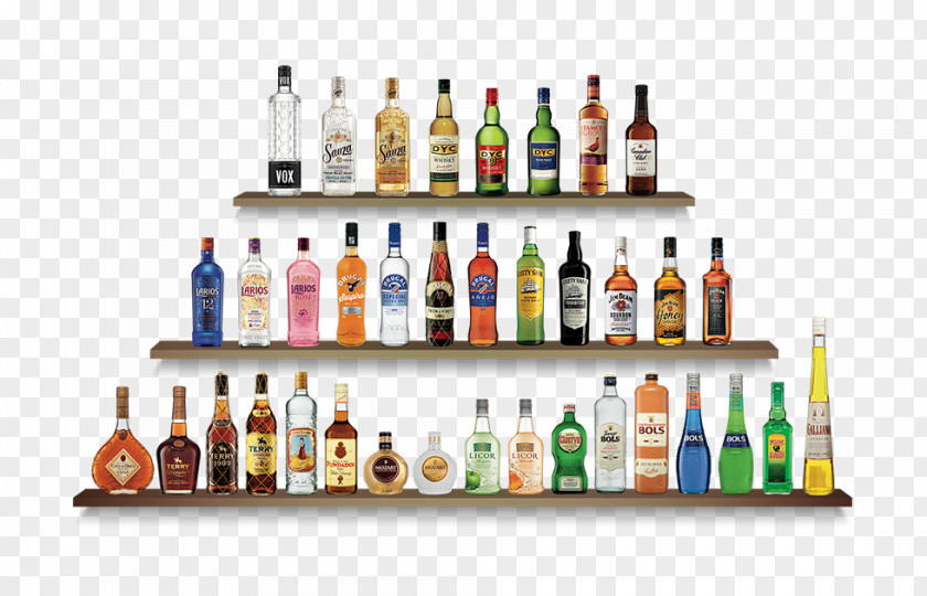 Metas Liqueur Maxxium Spain S.L. Bols Diageo PNG