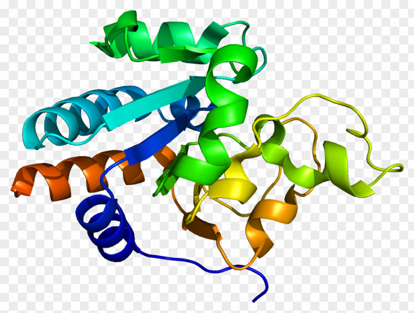 NNT Monoamine Oxidase Protein Number Needed To Treat Enzyme PNG