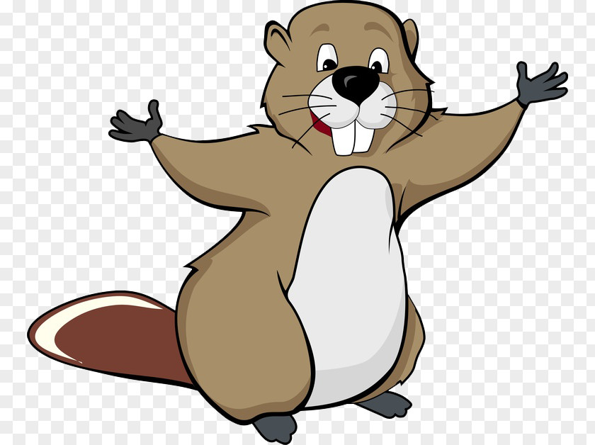 Drawing American Beaver Clip Art PNG