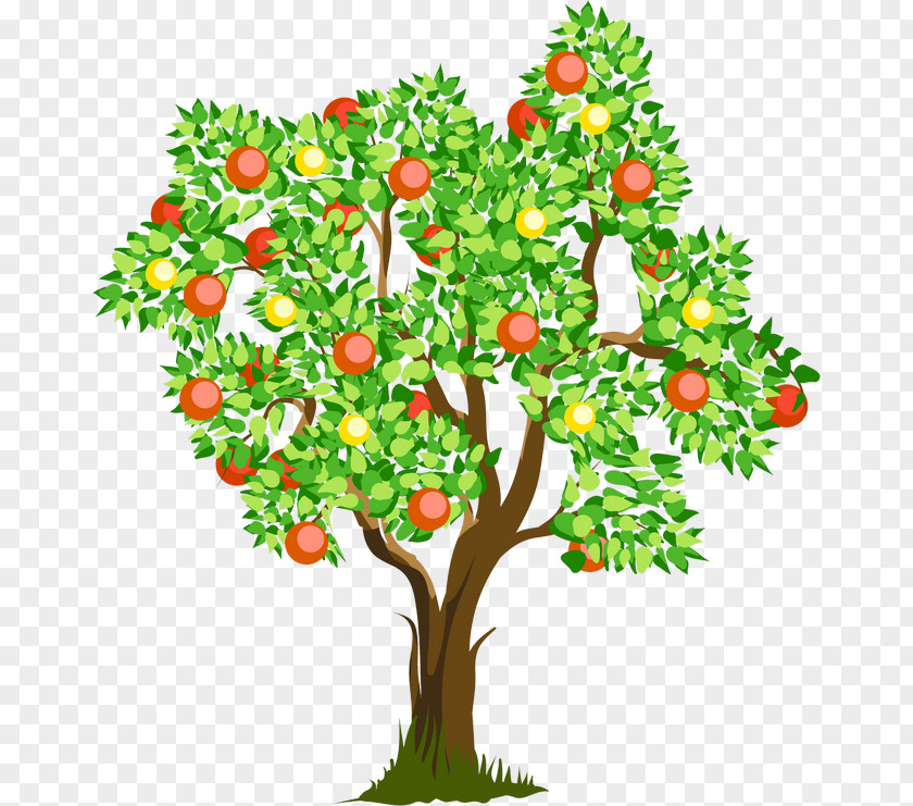 Fruittree Vector Powell Pediatric Therapy Occupational Child Sensory Processing PNG