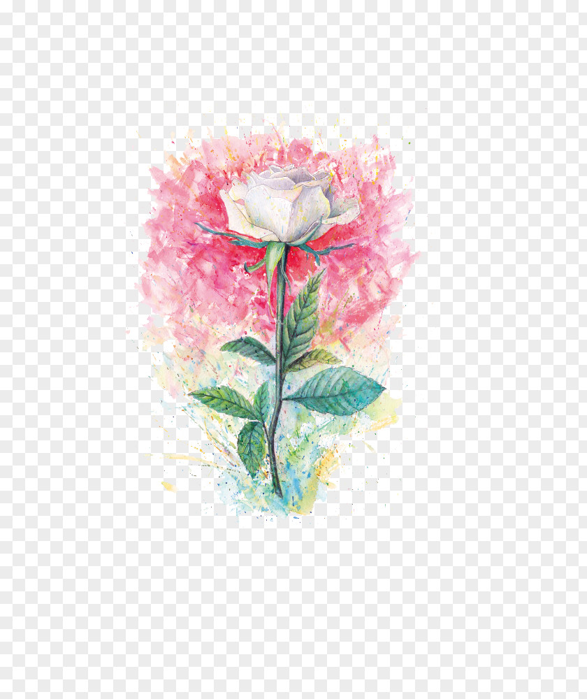 Hand-painted Flowers Beach Rose Flower Painting PNG
