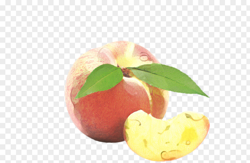 Pectin Tree Apple PNG
