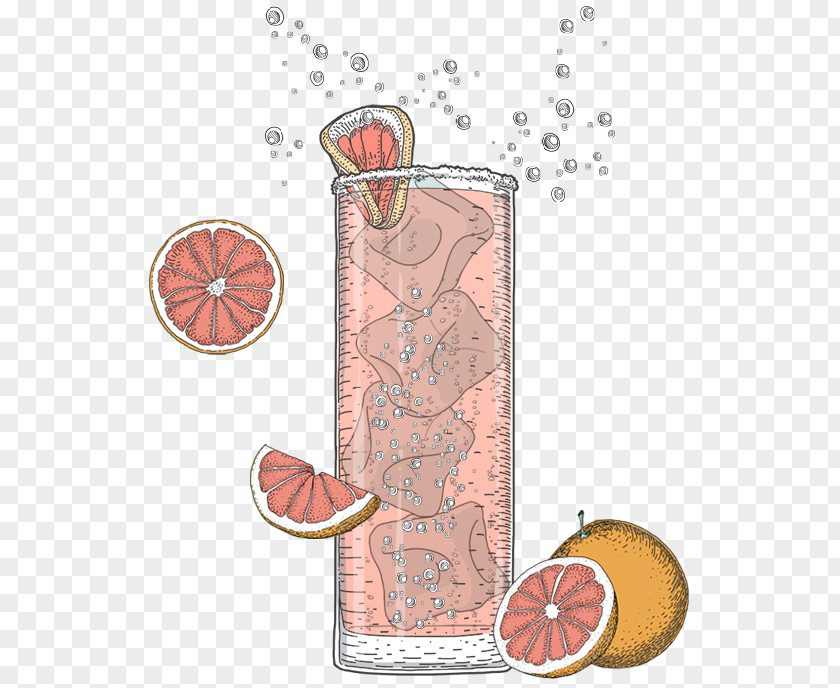 Drink Paloma Fizzy Drinks Mixer Carbonation PNG