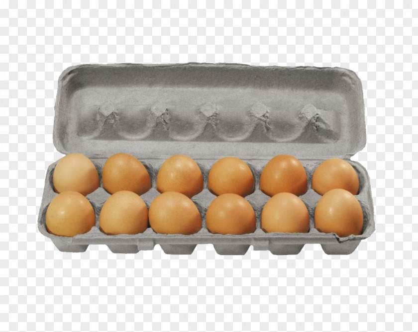 Egg Box Material Free To Pull Chicken Commercial Farming Breakfast Carton PNG