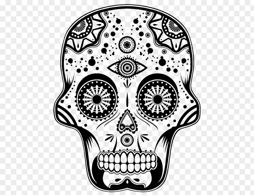Skull Calavera Day Of The Dead Death Image PNG
