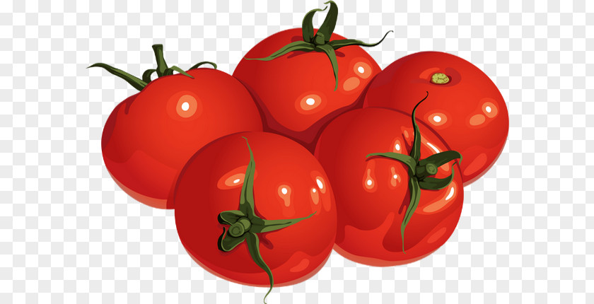 Tomato Paste Plum Bush Food PNG
