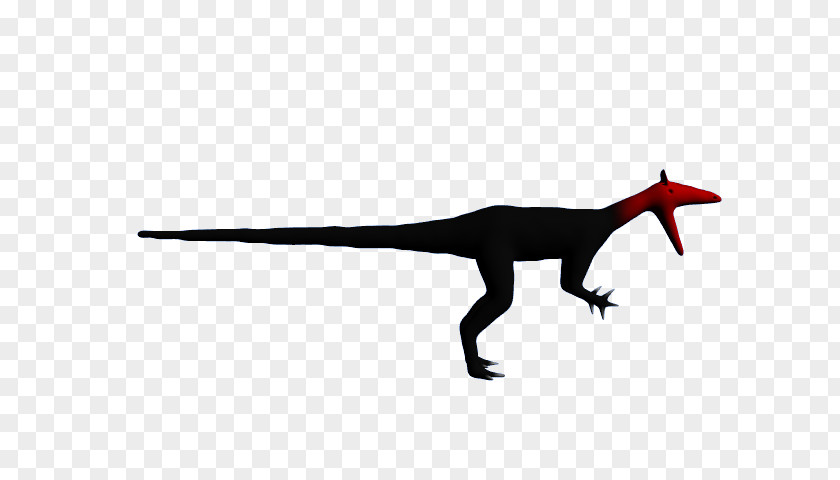 Velociraptor Avatar 3D Computer Graphics Tyrannosaurus Prehistory PNG