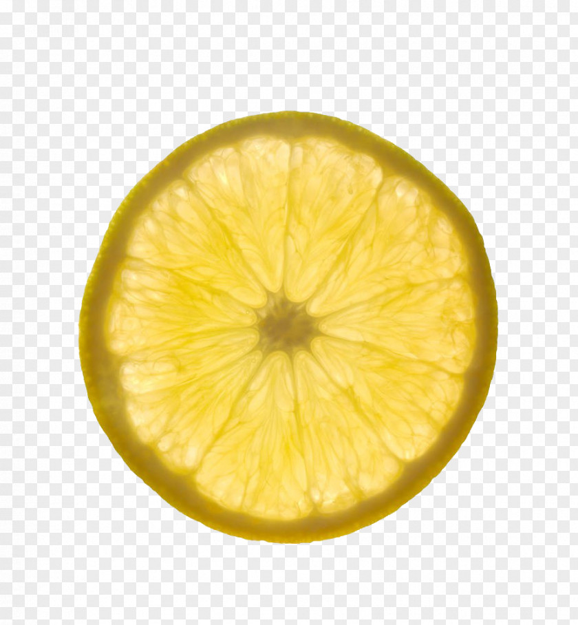 Yellow Backlit Lemon Slices Download PNG