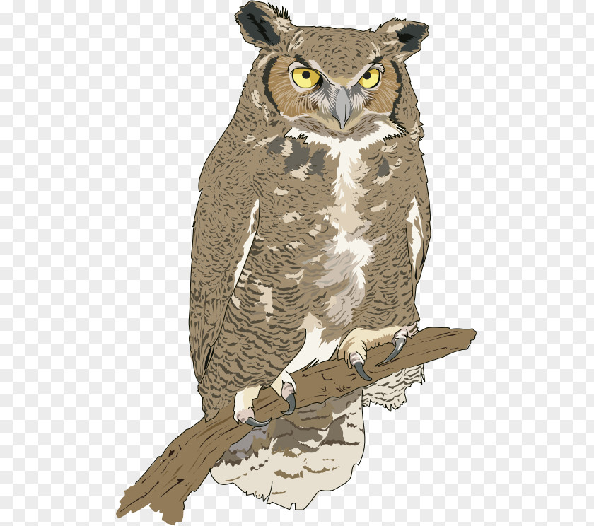 Artist Great Horned Owl Eurasian Eagle-owl Snowy Bird PNG