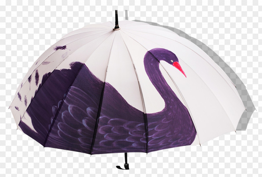 Black Swan Umbrella Sun PNG