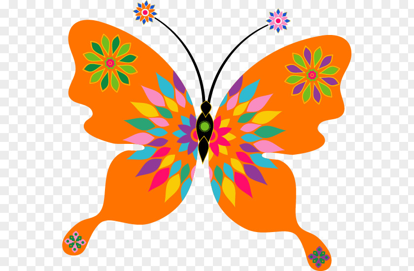 Butterfly Drawing Clip Art PNG