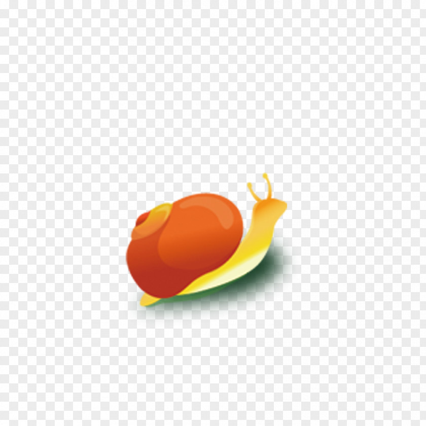 Snails Download Icon PNG