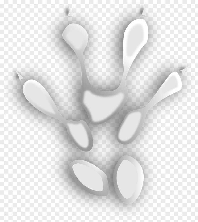White Animal Footprints Gray Wolf Black And Footprint PNG