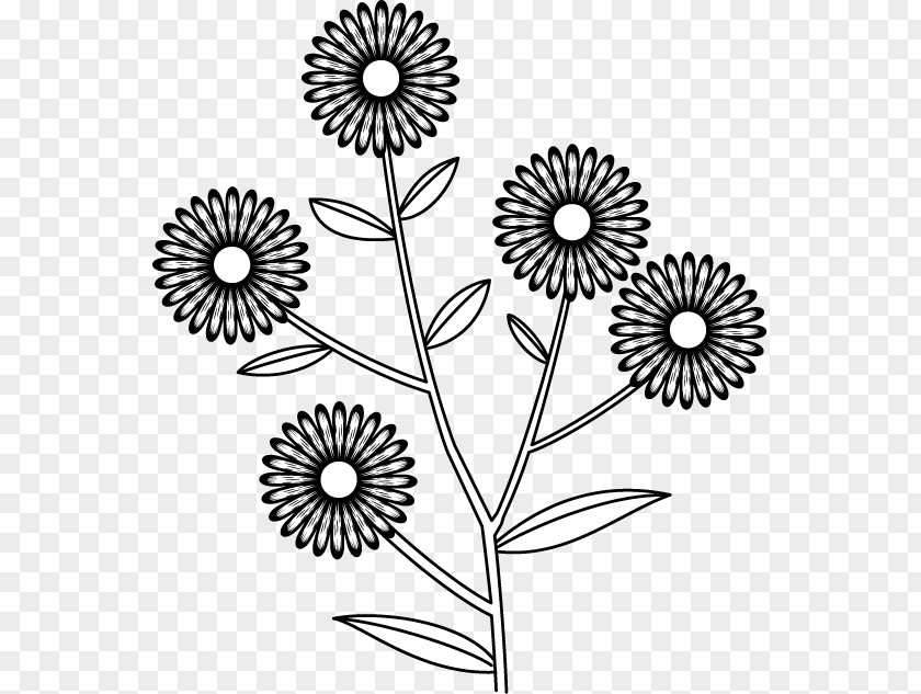 Aster Flower Cut Flowers Floral Design Chrysanthemum Clip Art PNG
