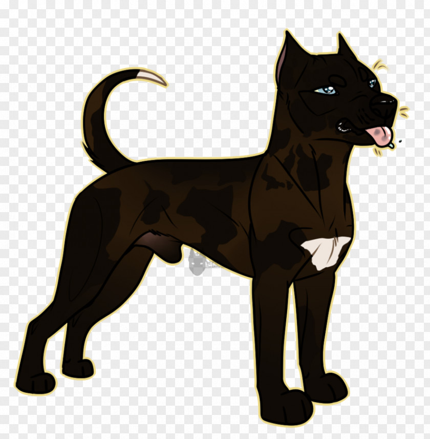Cat Dog Breed Leash Tail PNG
