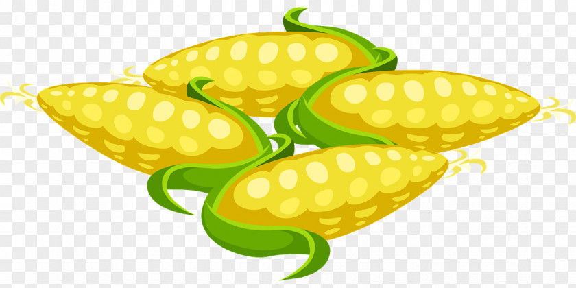 Corn Popcorn On The Cob Maize Clip Art PNG
