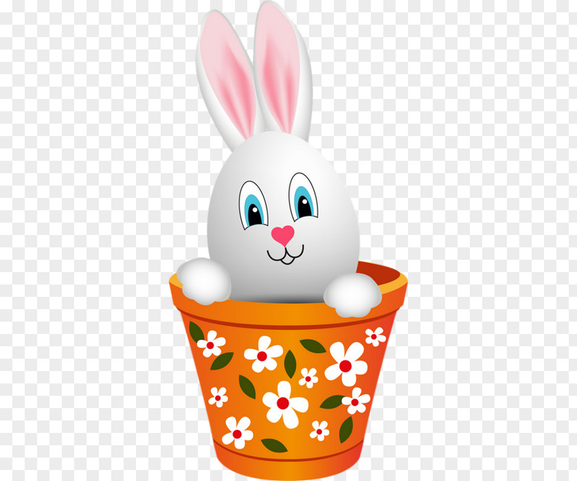 Easter Bunny Egg Rabbit Photography PNG