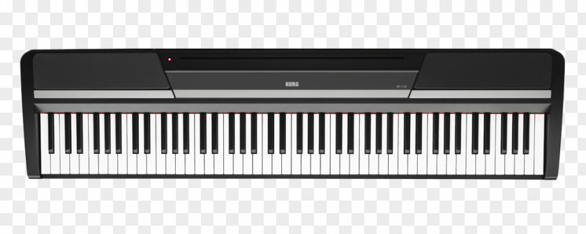 Electric Piano Digital Keyboard Korg SP-280 Musical Instruments PNG