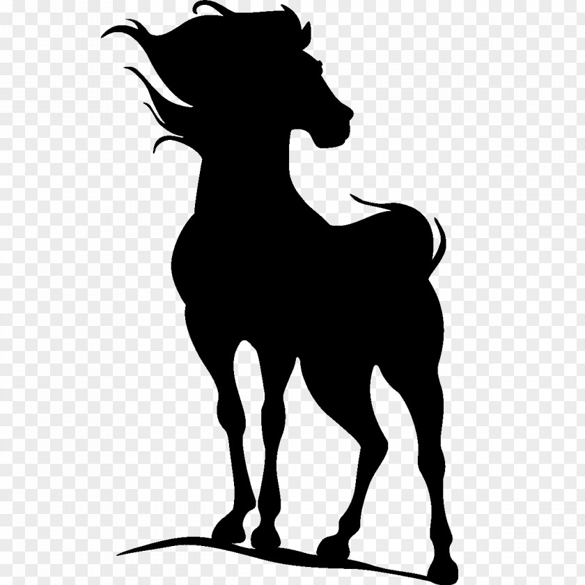 Horse Stallion Silhouette Wall Decal Stencil PNG