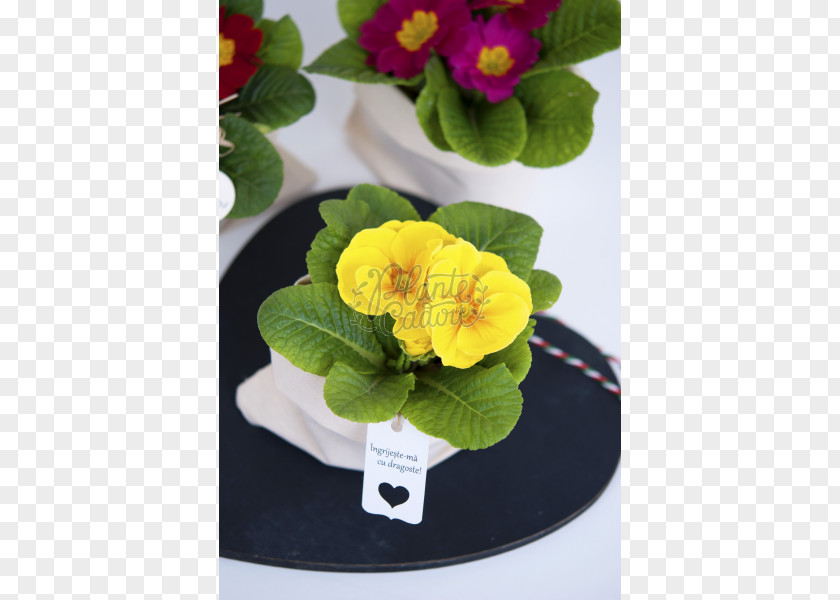 Primula Primrose Flowerpot Artificial Flower PNG