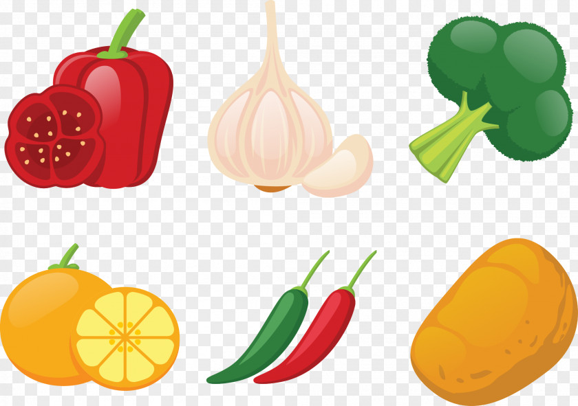 Vector Illustration Vegetables Bell Pepper Winter Squash Vegetable PNG