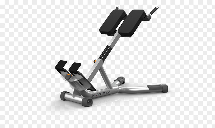 Barbell Exercise Machine Hyperextension Fitness Centre Physical PNG