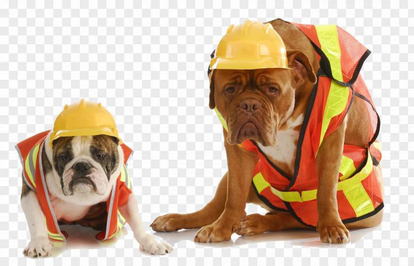 Fire Dog Bulldog Safety Stock Photography Royalty-free PNG