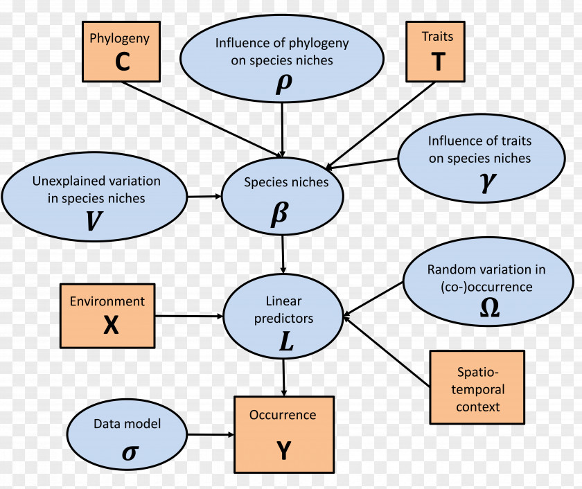 Line Point Organization PNG