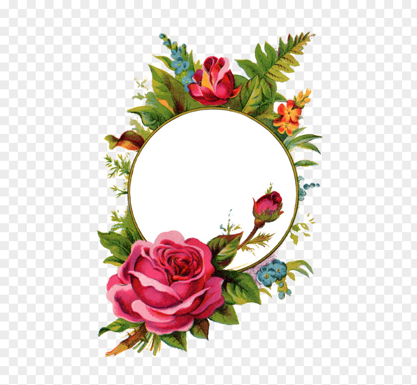 Mothersday Picture Frames Rose Stock Photography Clip Art PNG