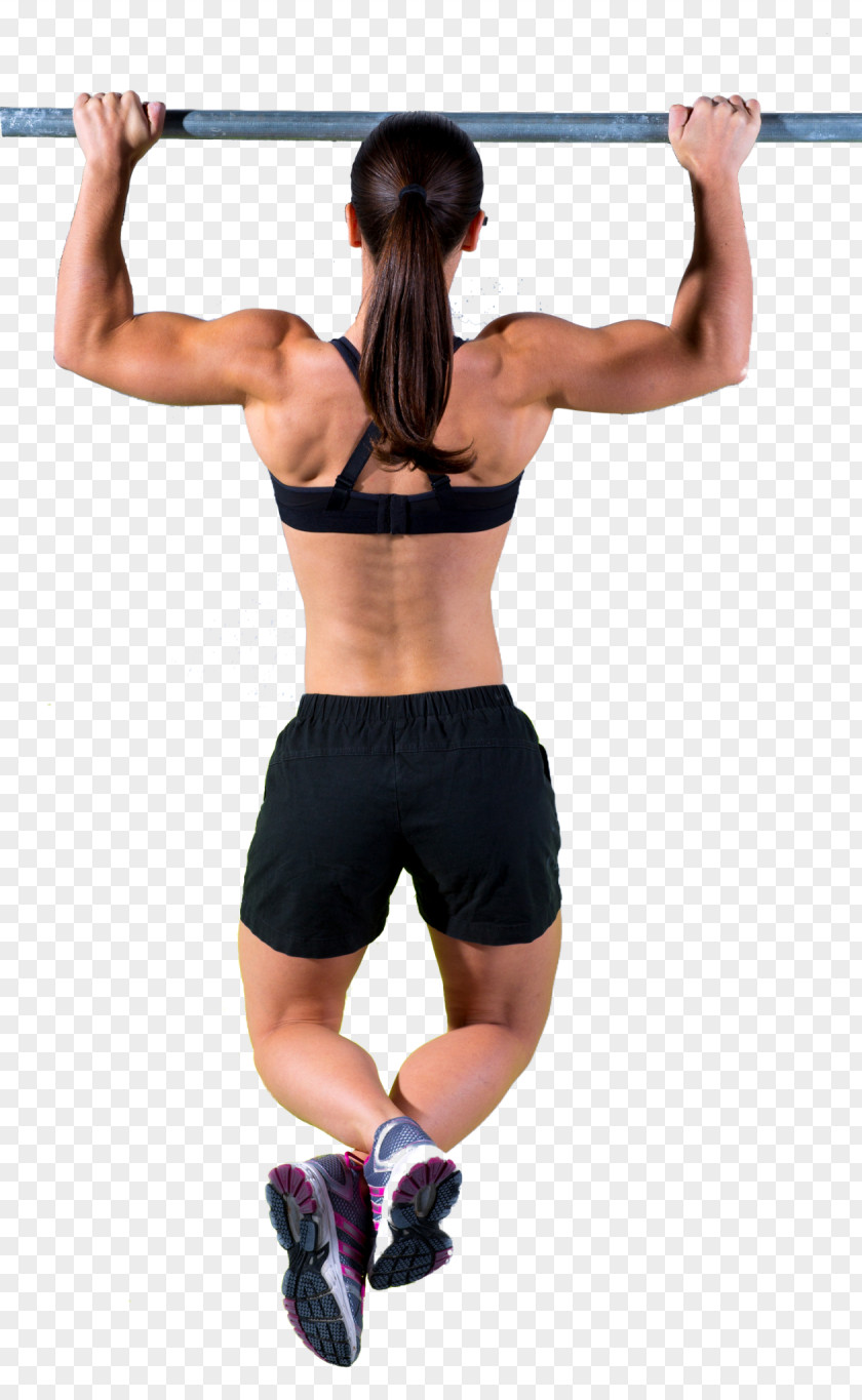 Ups Pull-up Fitness Centre Physical Exercise Chin-up Push-up PNG