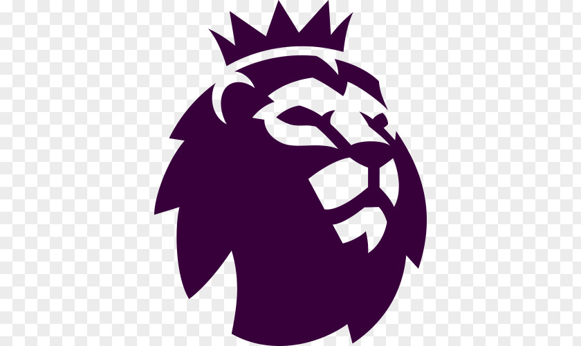 Football 2016–17 Premier League 2017–18 Leicester City F.C. English Sports PNG