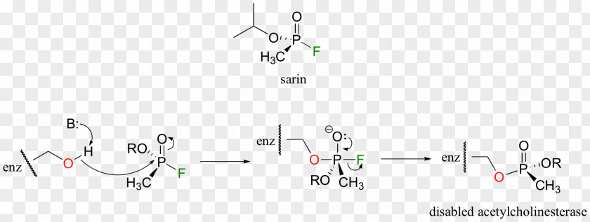 Acetylcholinesterase Synapse Sarin PNG