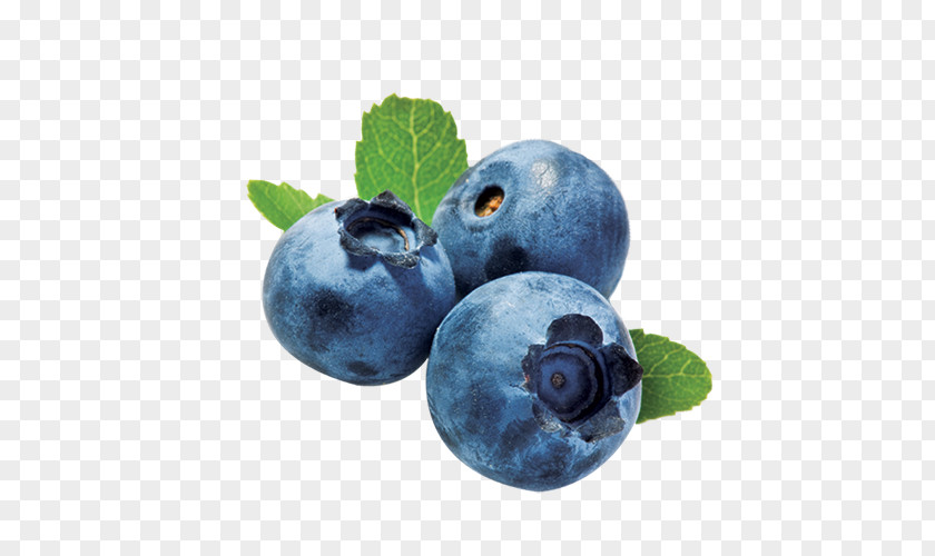 Blueberries Blueberry Tea Smoothie Fried Chicken Food PNG
