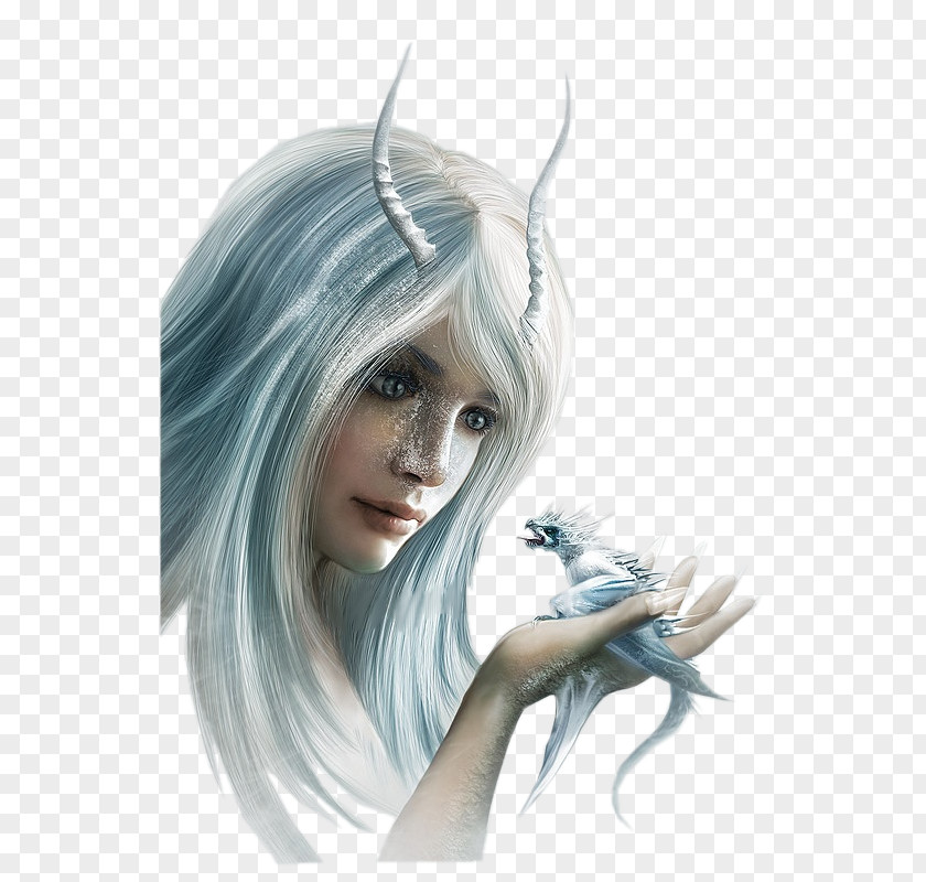 Dragon Anne Stokes Elf Female Fantasy PNG